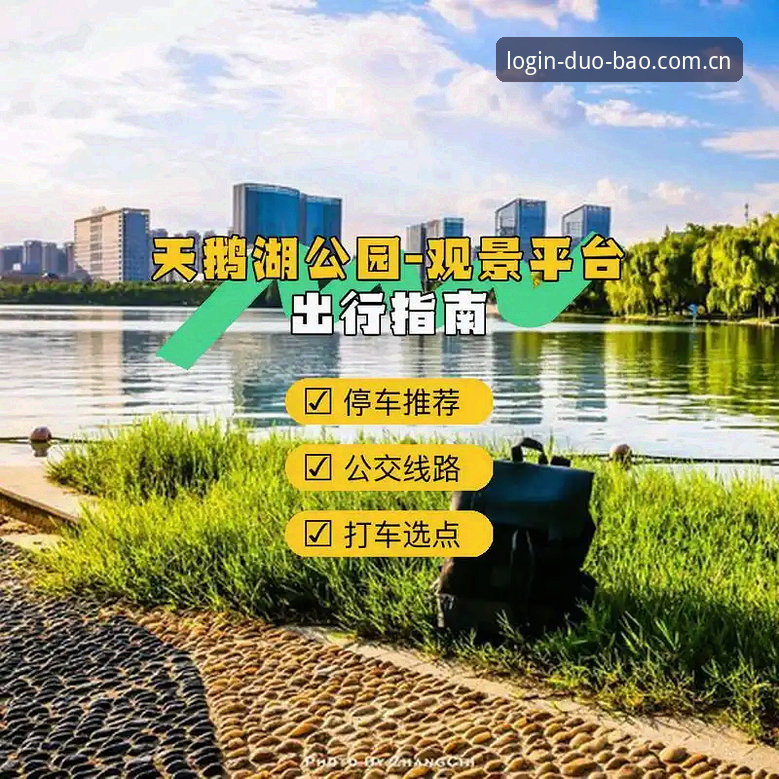 多宝体育平台最新版 多宝体育平台最新版登录全指南